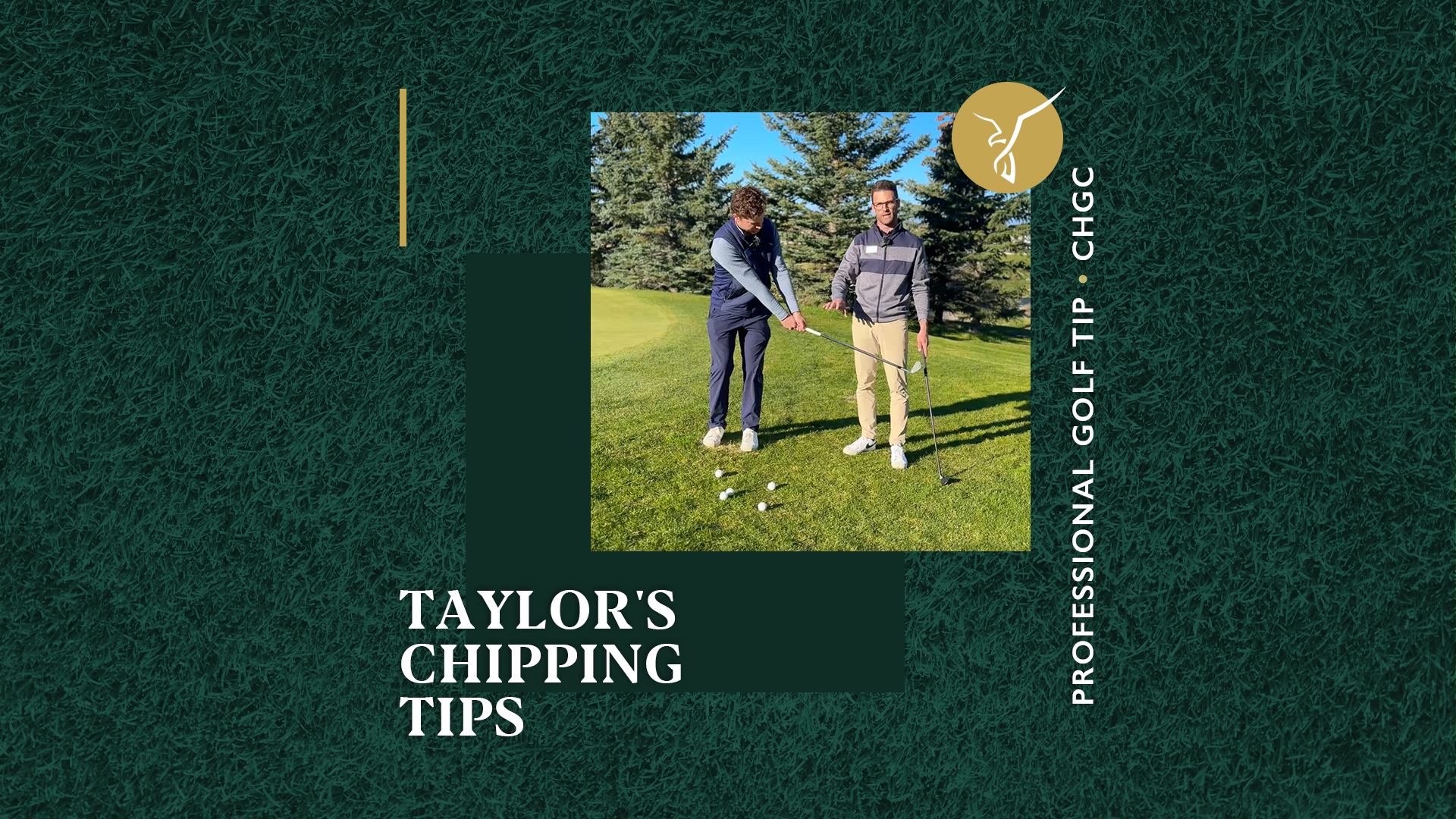 Taylor's Chipping Tips
